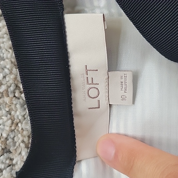 Ann Taylor Loft Skirt Size 10 - Picture 3 of 4